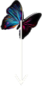 Butterfly Arrow Down